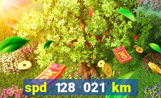 spd 128 021 km 000 metros 200 onde fica