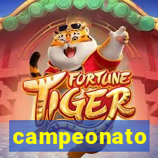 campeonato brasileiro spiele