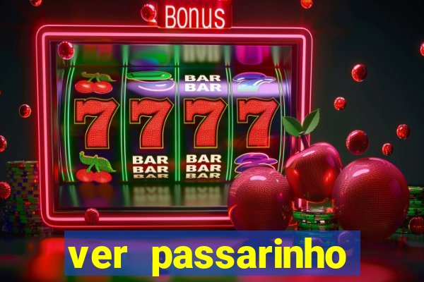 ver passarinho morto significado