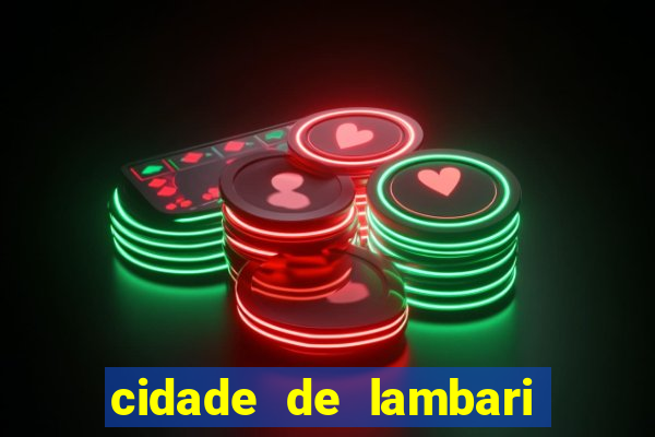 cidade de lambari sao paulo