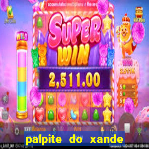 palpite do xande de hoje