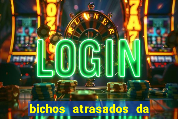 bichos atrasados da loteria federal