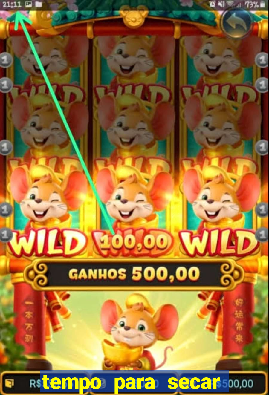 tempo para secar cola de cano