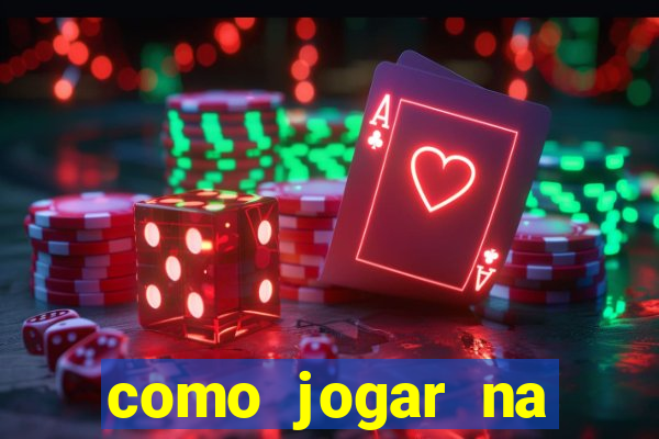 como jogar na lotinha do jogo do bicho