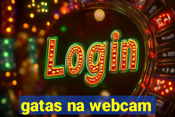 gatas na webcam