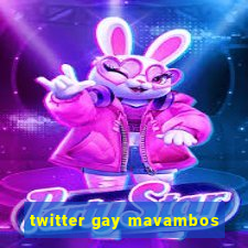 twitter gay mavambos