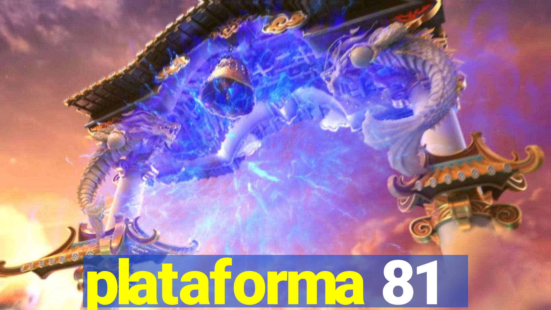 plataforma 81
