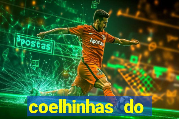 coelhinhas do brasil recife