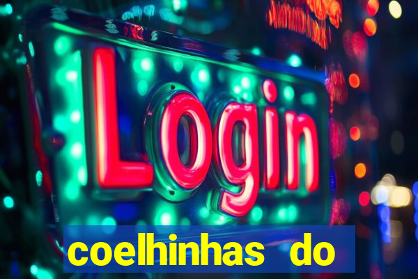 coelhinhas do brasil recife
