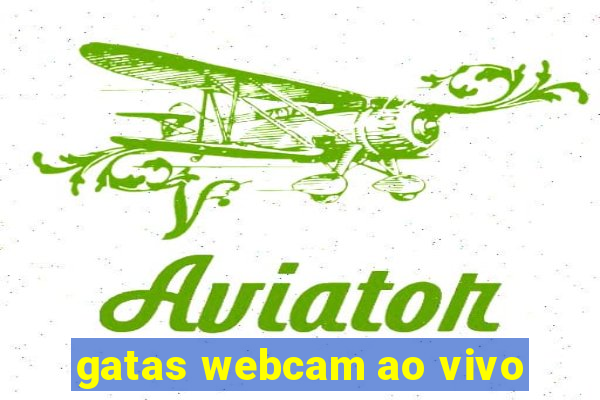 gatas webcam ao vivo