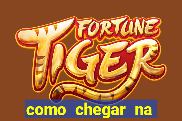 como chegar na avenida cruzeiro do sul, 2463