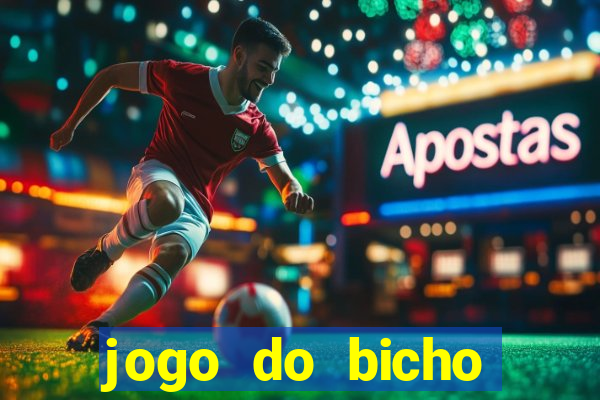 jogo do bicho crash bingo