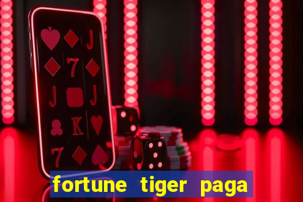 fortune tiger paga de madrugada