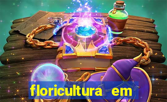floricultura em lauro de freitas