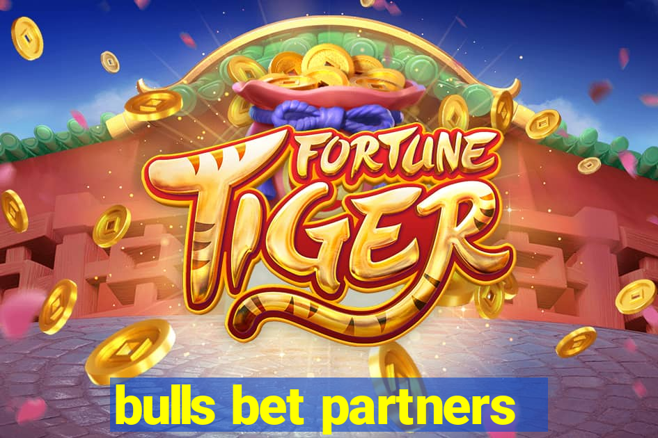 bulls bet partners