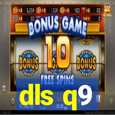 dls q9