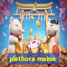 plethora maine