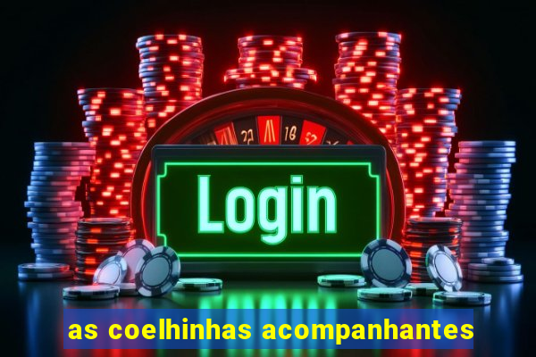 as coelhinhas acompanhantes