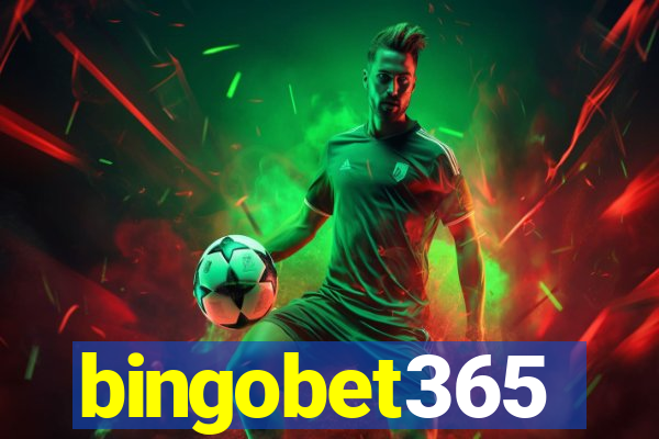 bingobet365