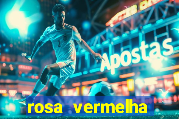 rosa vermelha (letra e cifra)