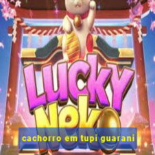 cachorro em tupi guarani
