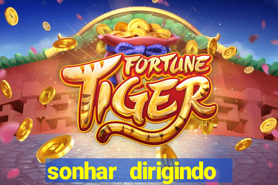 sonhar dirigindo carro jogo do bicho
