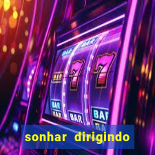 sonhar dirigindo carro jogo do bicho
