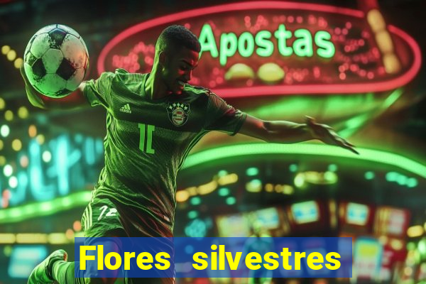 Flores silvestres brasileiras 25