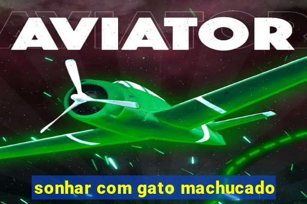 sonhar com gato machucado