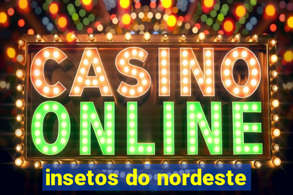 insetos do nordeste