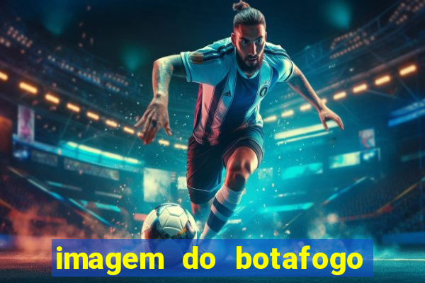 imagem do botafogo zuando o palmeiras