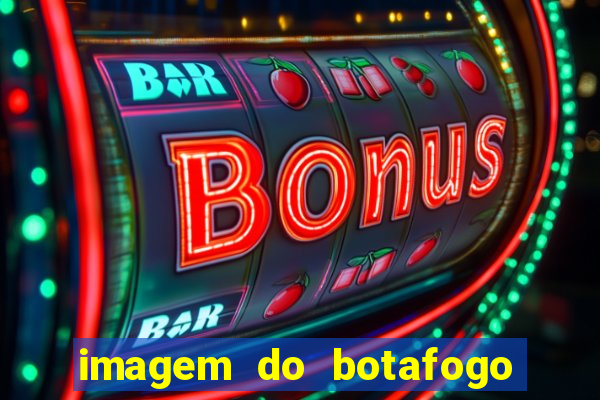 imagem do botafogo zuando o palmeiras