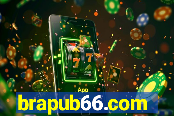 brapub66.com