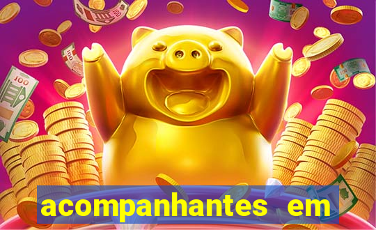 acompanhantes em porto seguro