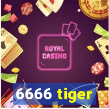 6666 tiger