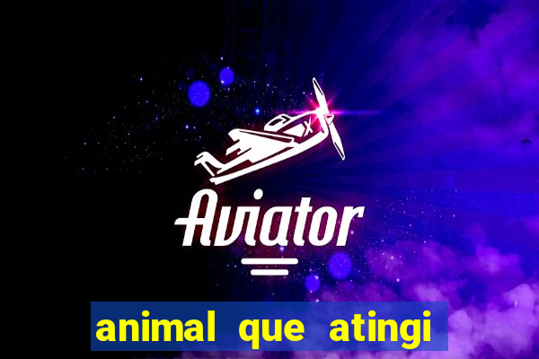 animal que atingi 230 decibeis