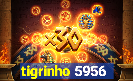 tigrinho 5956