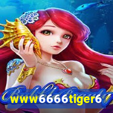 www6666tiger6