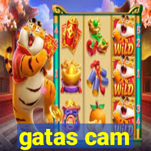 gatas cam
