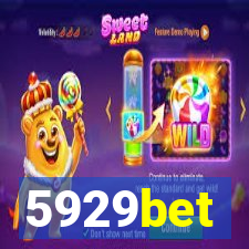 5929bet