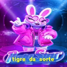 tigre da sorte fortune tiger 2 demo