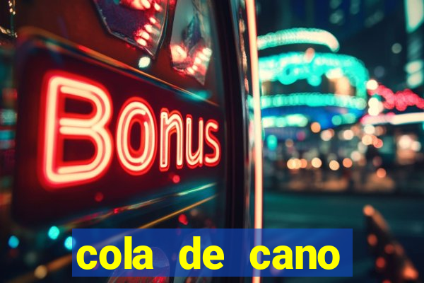 cola de cano quanto tempo para secar