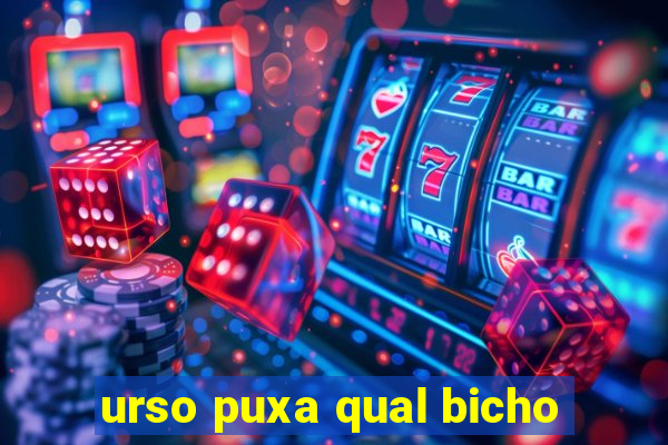 urso puxa qual bicho