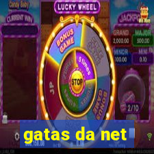 gatas da net