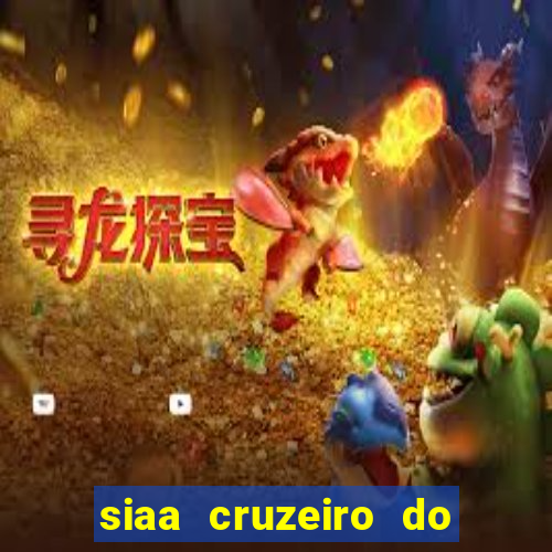 siaa cruzeiro do sul aluno