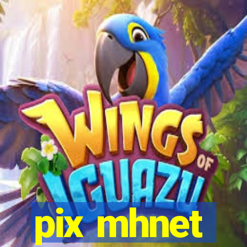 pix mhnet