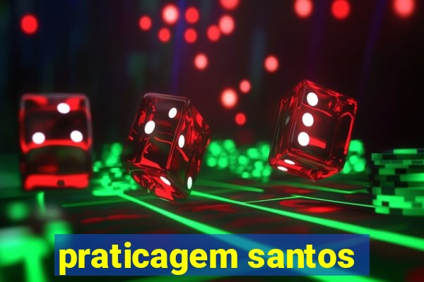 praticagem santos