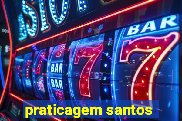 praticagem santos