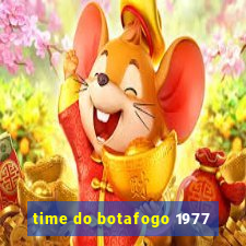 time do botafogo 1977