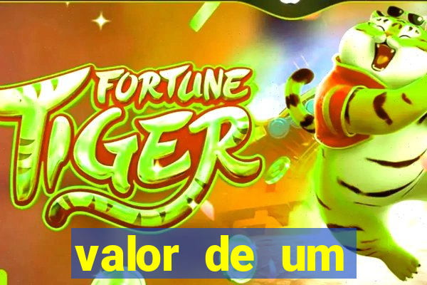 valor de um container usado